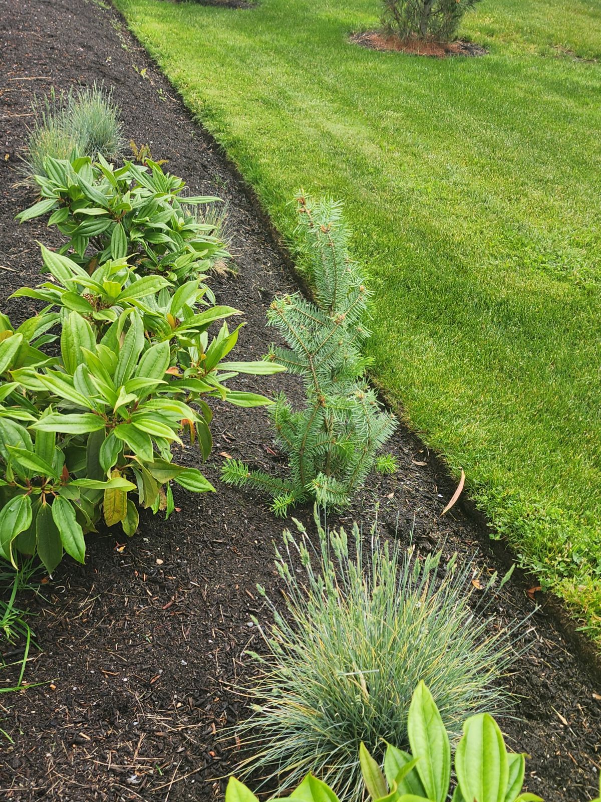 clinton-landscaping-1